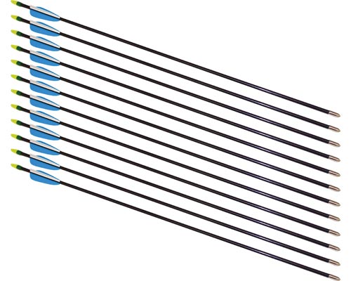 26" Fiberglass Arrows - 12 Arrows - Sportsplace.store