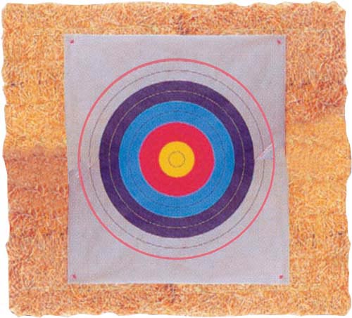 36" Square Glasscloth Target Face - Sportsplace.store