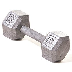 Hex Dumbbell w/ Straight Handle 20 lb - Sportsplace.store