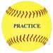 MacGregor®12 in. Practice Softballs (Dozen) - Sportsplace.store