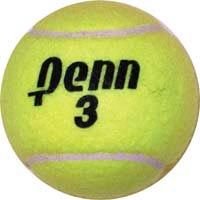 Penn Championship Game Tennis Balls - Sportsplace.store