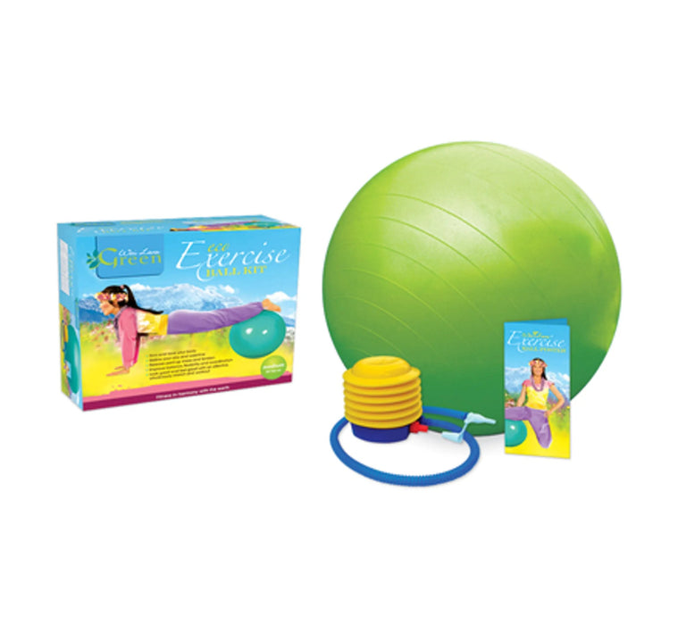 Pilates Yoga Eco Ball Kit With Choose of Accessory - Sportsplace.store