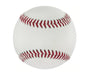 Regulation Size Baseball - Sportsplace.store