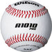 Wilson A1010BPROSST NFHS Baseballs - Sportsplace.store