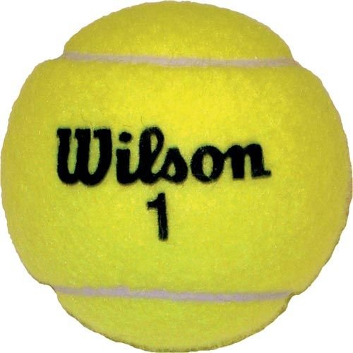 Wilson Championship Game Tennis Balls - Sportsplace.store