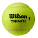Wilson Triniti Tennis Balls - 3 Ball Sleeve - Sportsplace.store